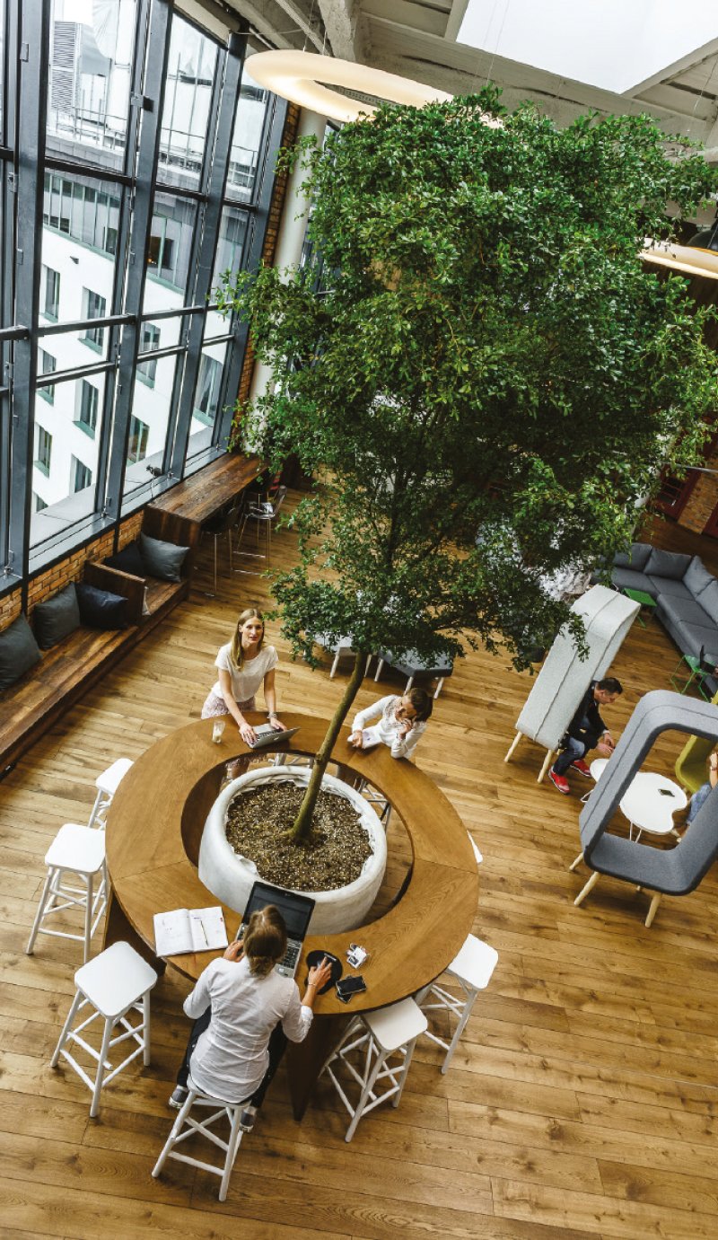 Tak będziemy pracować w przyszłości