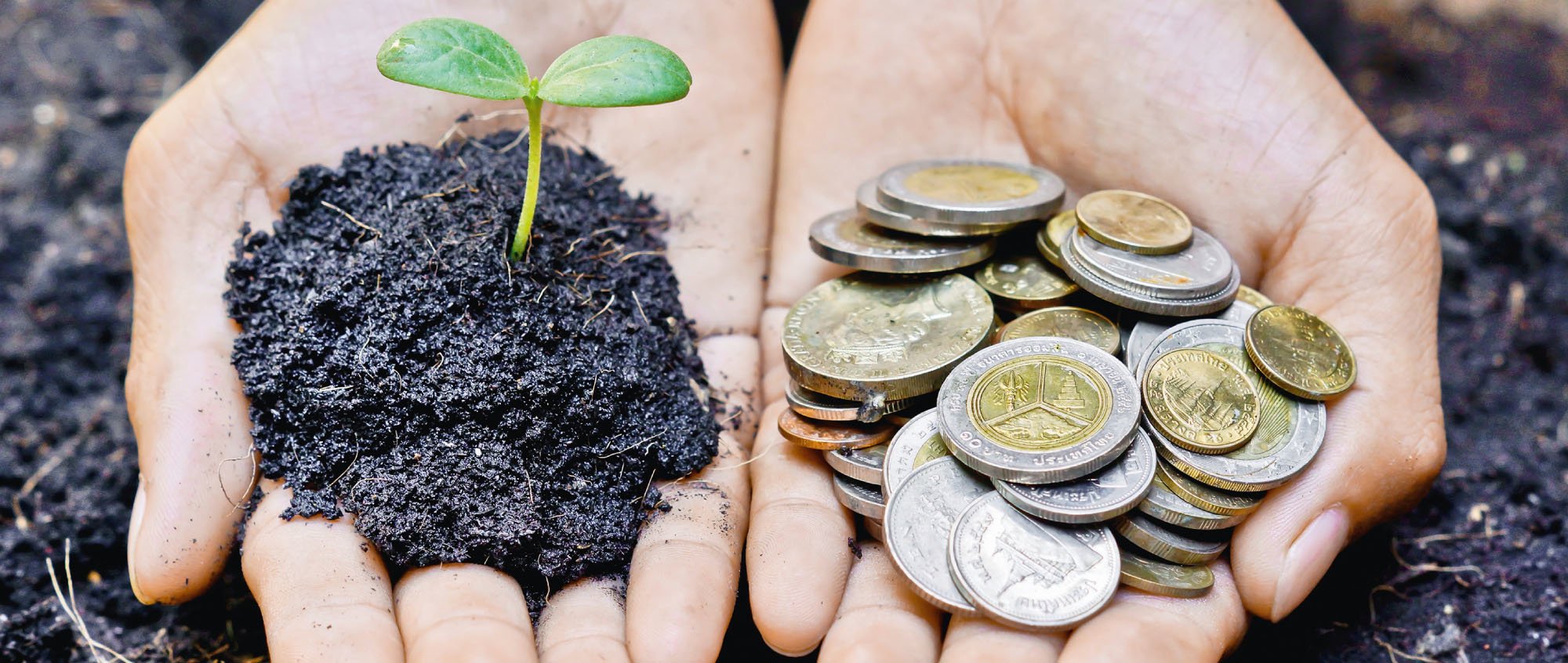 Biznes mądrze odpowiedzialny