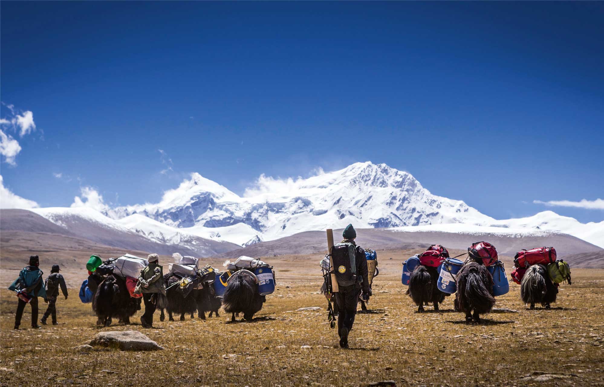 Pierwsza wyprawa w ramach projektu „Hic Sunt Leones” na szczyt Shishapangma (8013 m n.p.m.) Andrzejowi Bargielowi towarzyszyli Grzegorz Bargiel, Dariusz Załuski i Marcin Kin.